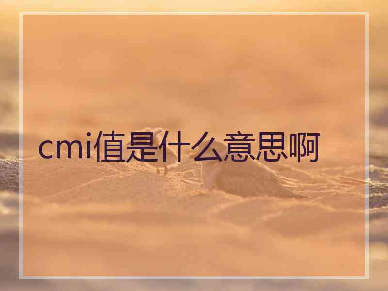cmi值是什么意思啊