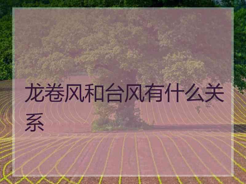 龙卷风和台风有什么关系