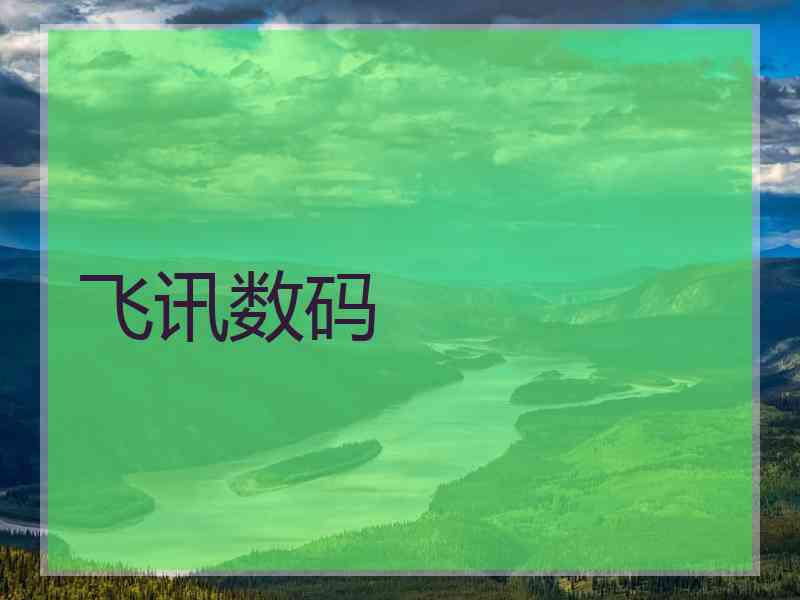 飞讯数码