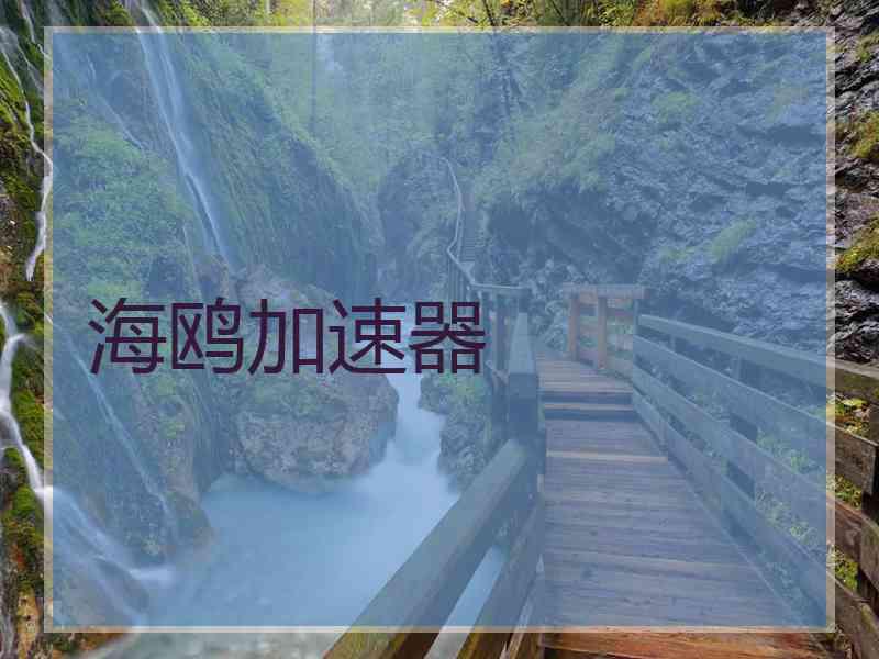 海鸥加速器