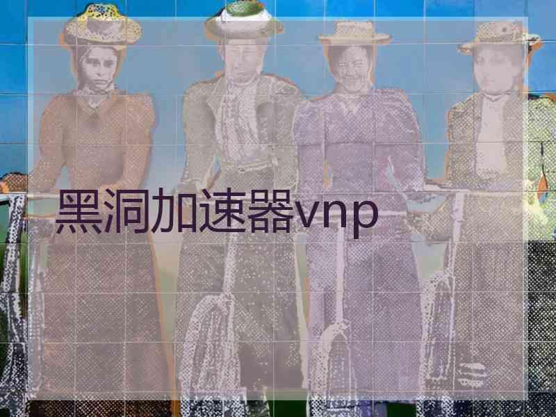 黑洞加速器vnp
