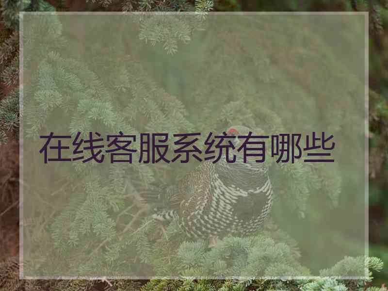在线客服系统有哪些