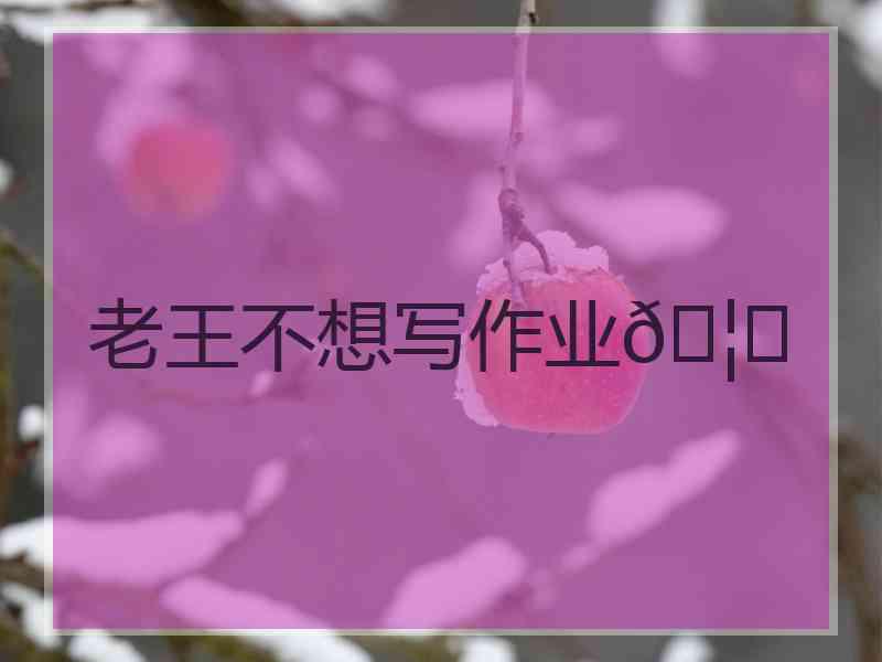 老王不想写作业🦄