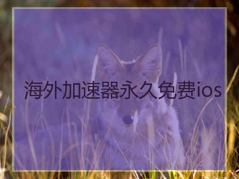 海外加速器永久免费ios