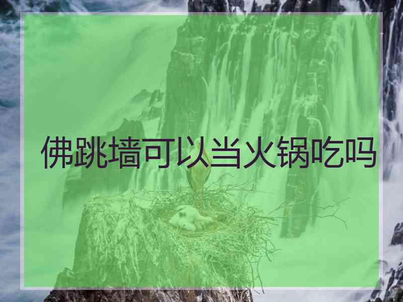 佛跳墙可以当火锅吃吗