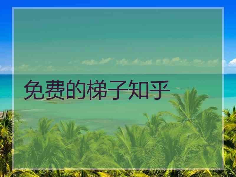 免费的梯子知乎