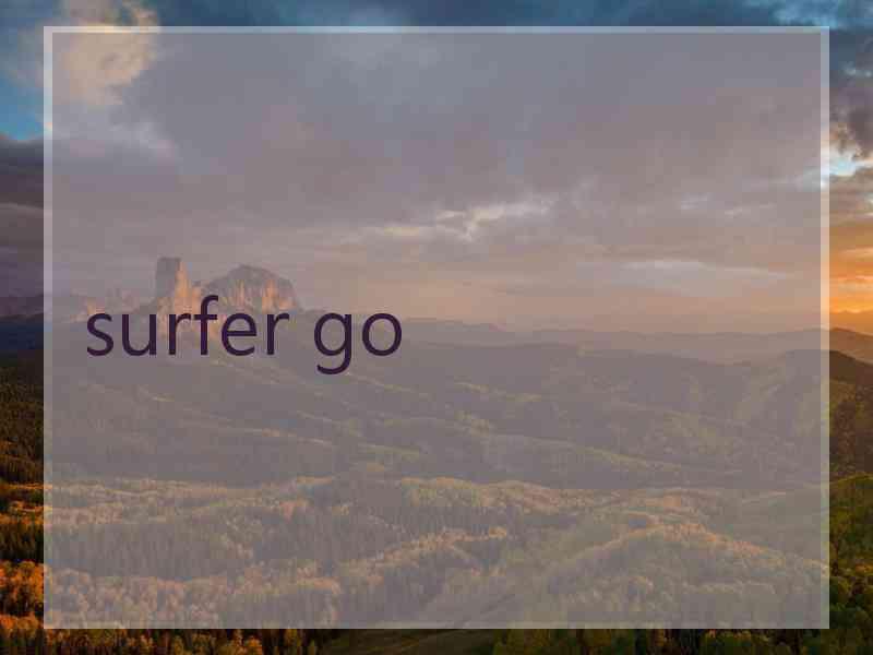 surfer go