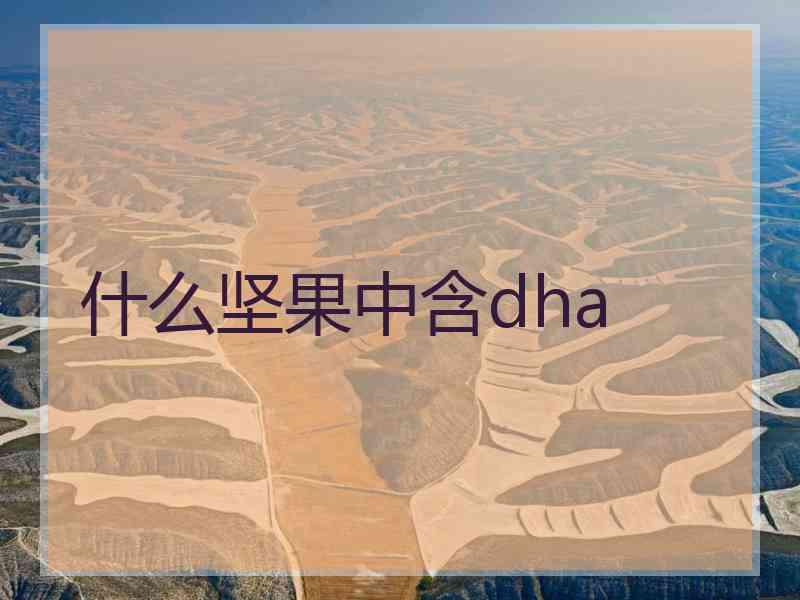 什么坚果中含dha