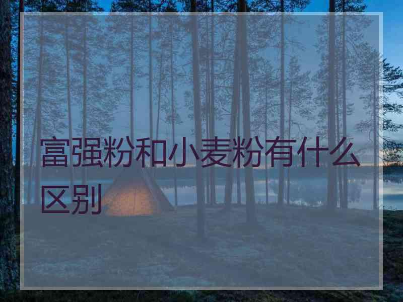 富强粉和小麦粉有什么区别