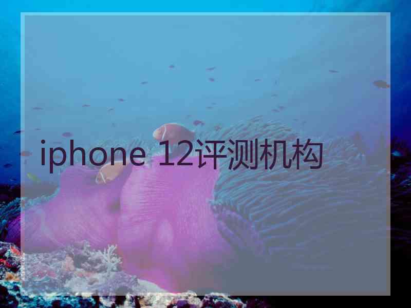 iphone 12评测机构