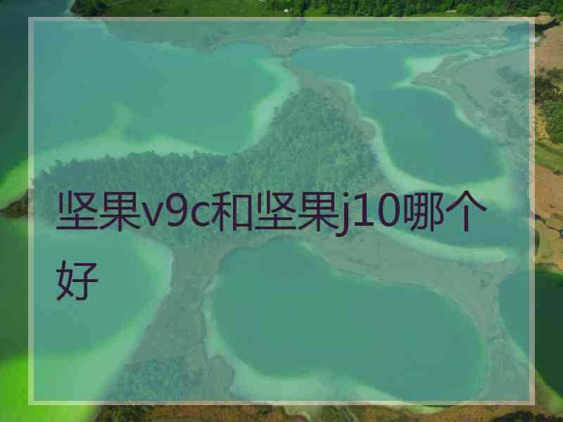 坚果v9c和坚果j10哪个好