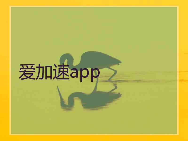 爱加速app