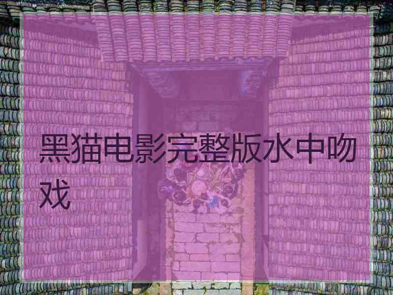 黑猫电影完整版水中吻戏
