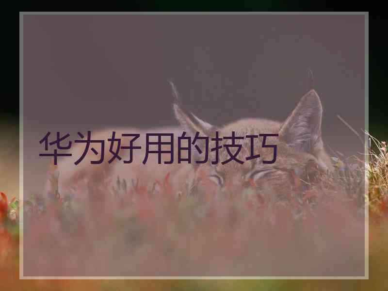 华为好用的技巧