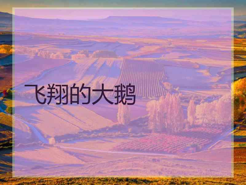 飞翔的大鹅