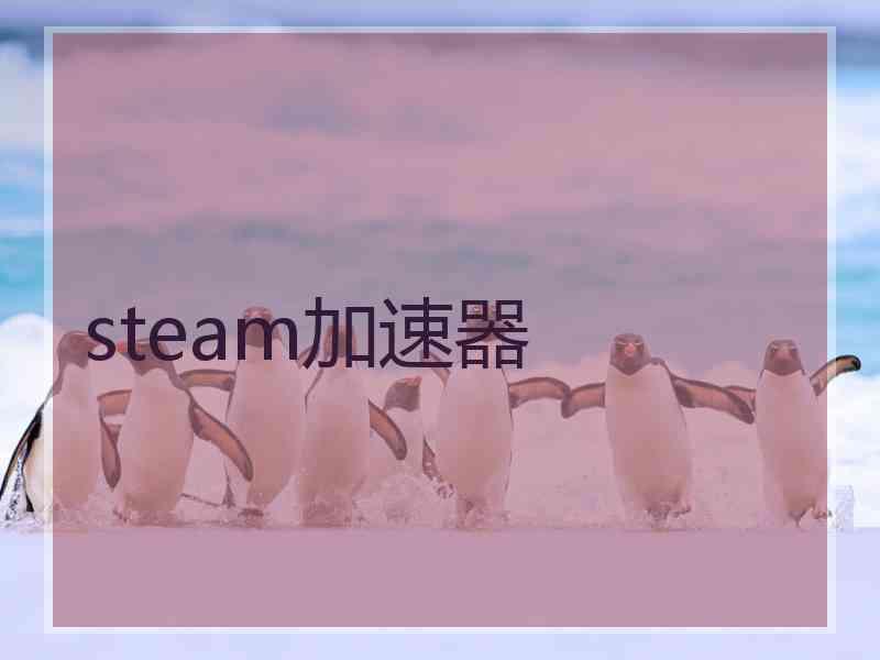 steam加速器