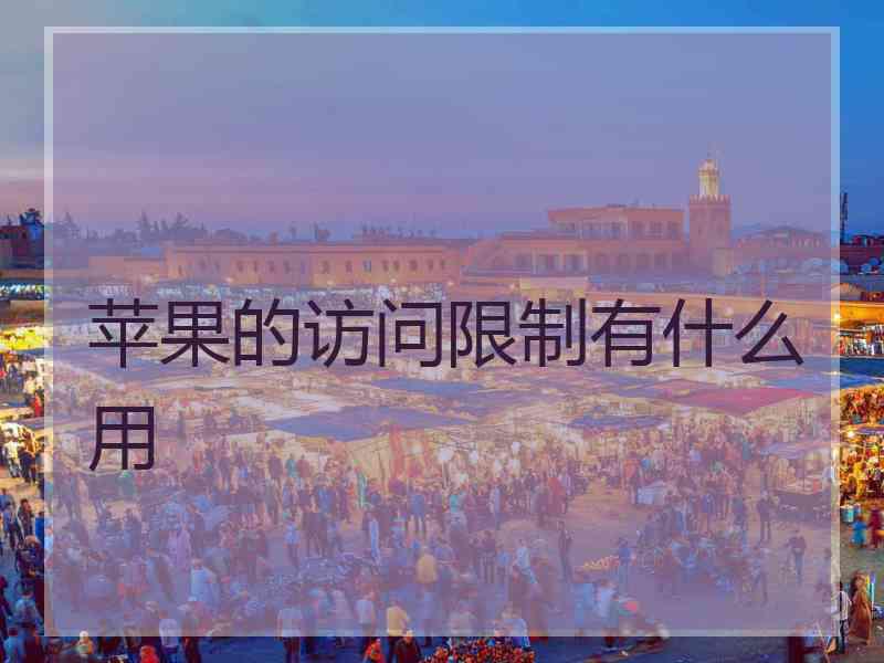 苹果的访问限制有什么用