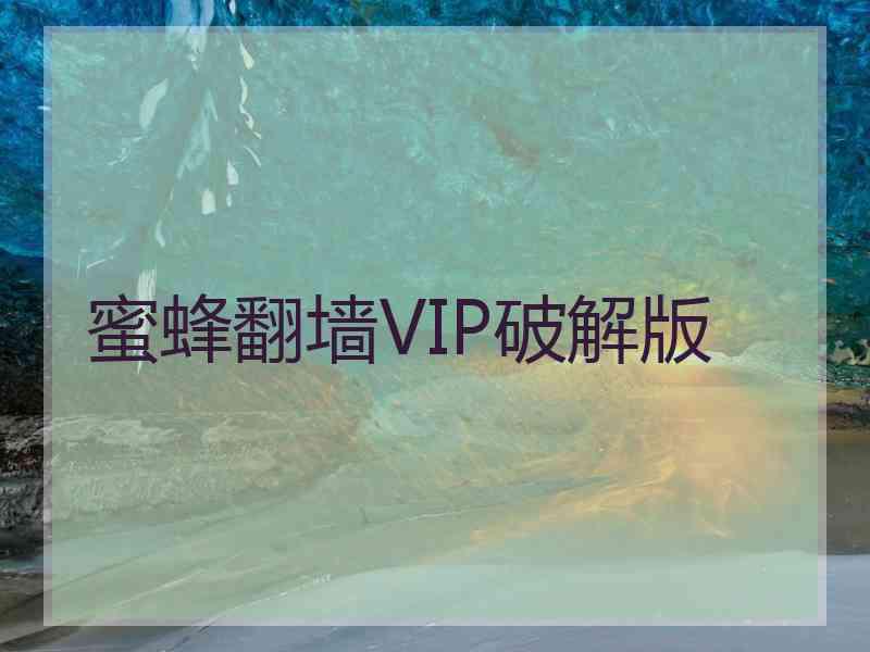 蜜蜂翻墙VIP破解版