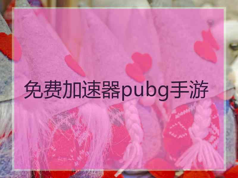 免费加速器pubg手游