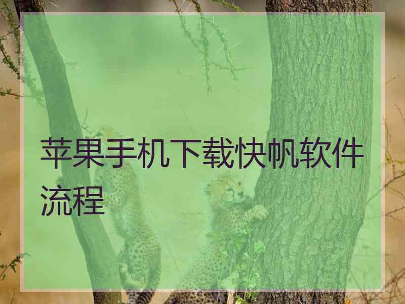 苹果手机下载快帆软件流程