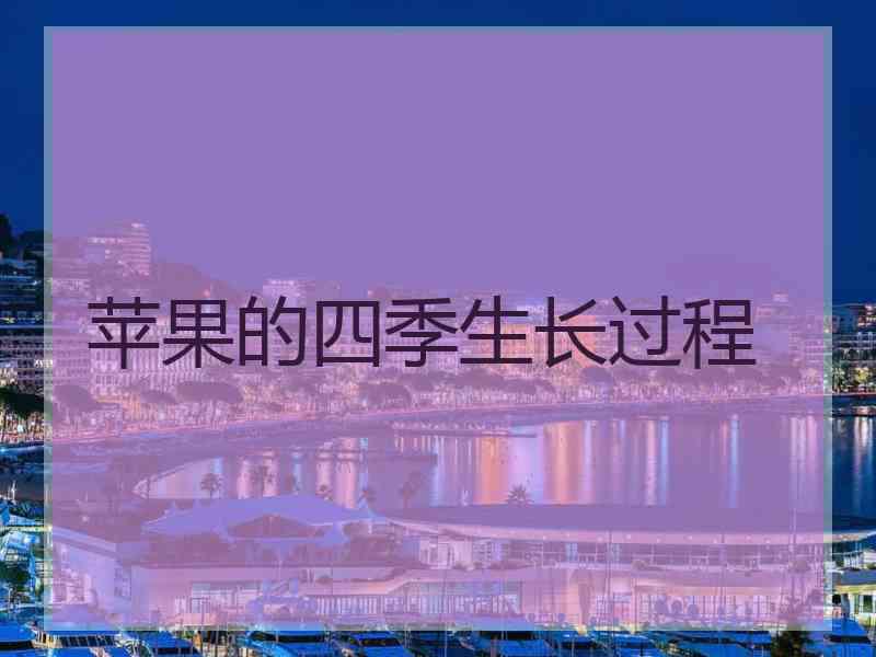 苹果的四季生长过程