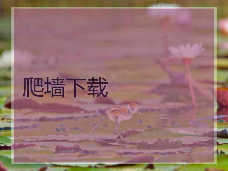 爬墙下载