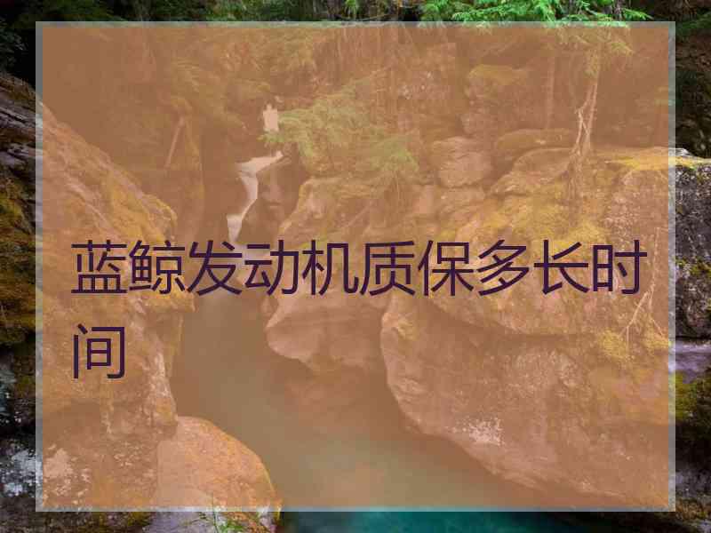 蓝鲸发动机质保多长时间