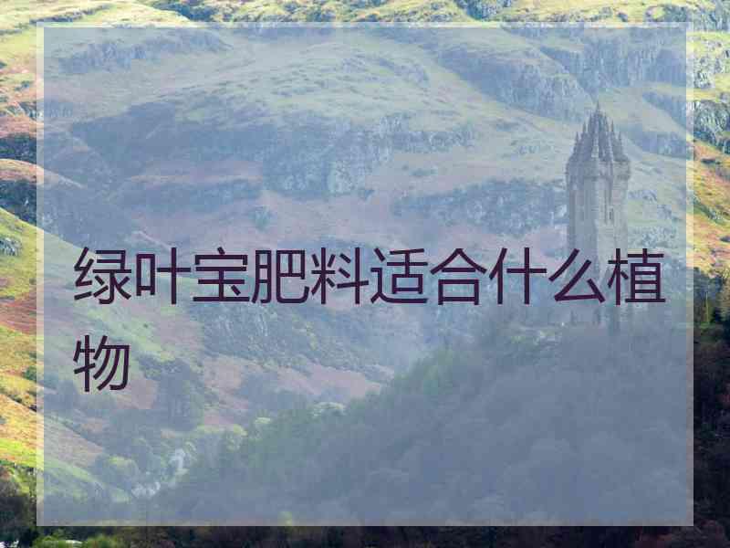 绿叶宝肥料适合什么植物