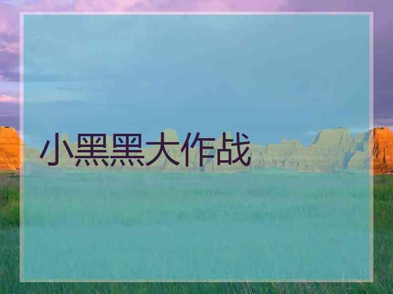 小黑黑大作战