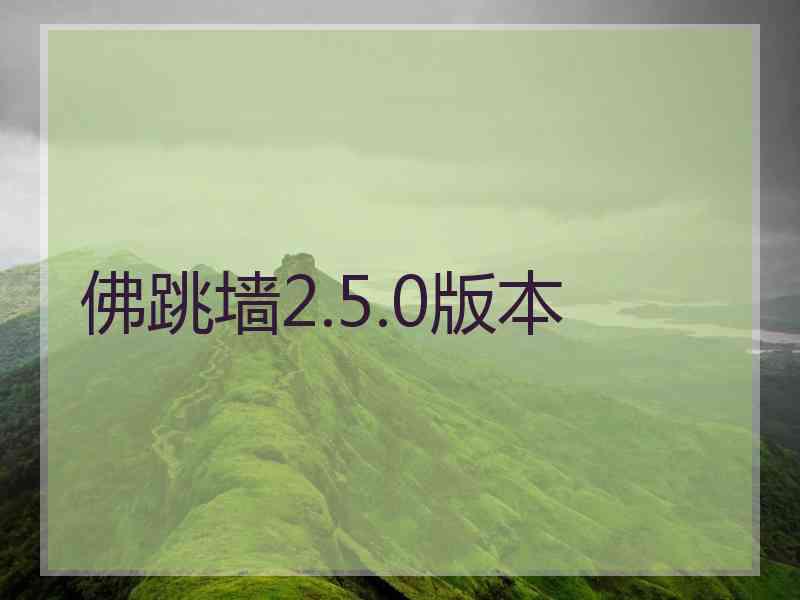 佛跳墙2.5.0版本