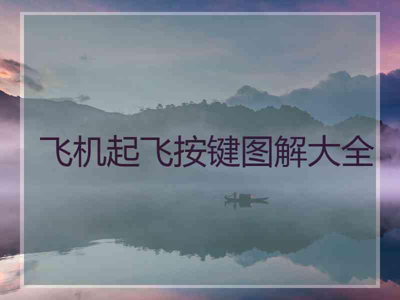 飞机起飞按键图解大全