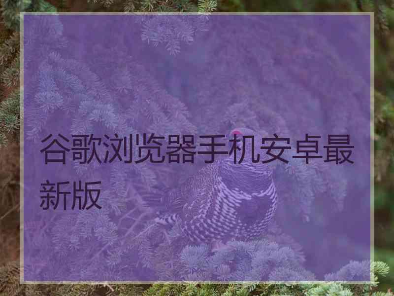 谷歌浏览器手机安卓最新版