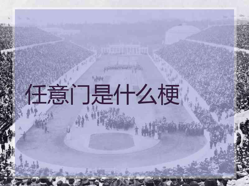 任意门是什么梗