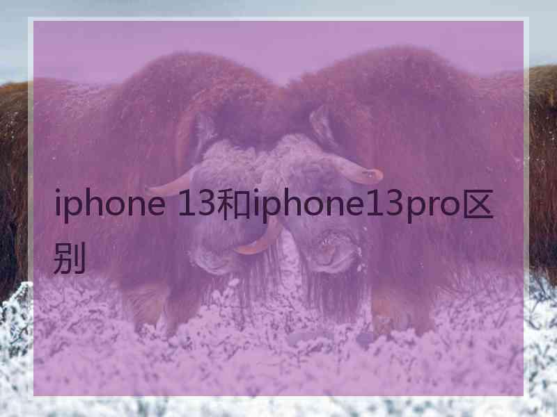 iphone 13和iphone13pro区别