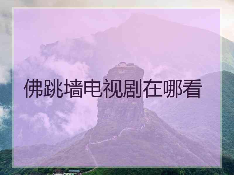 佛跳墙电视剧在哪看