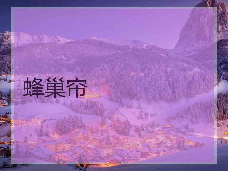 蜂巢帘