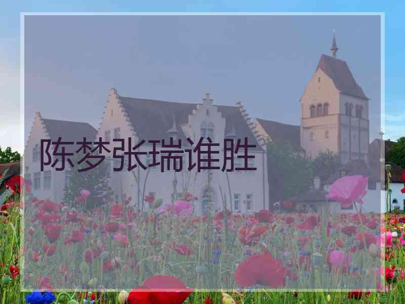 陈梦张瑞谁胜