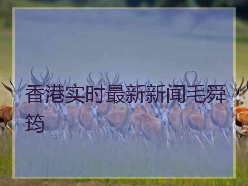 香港实时最新新闻毛舜筠