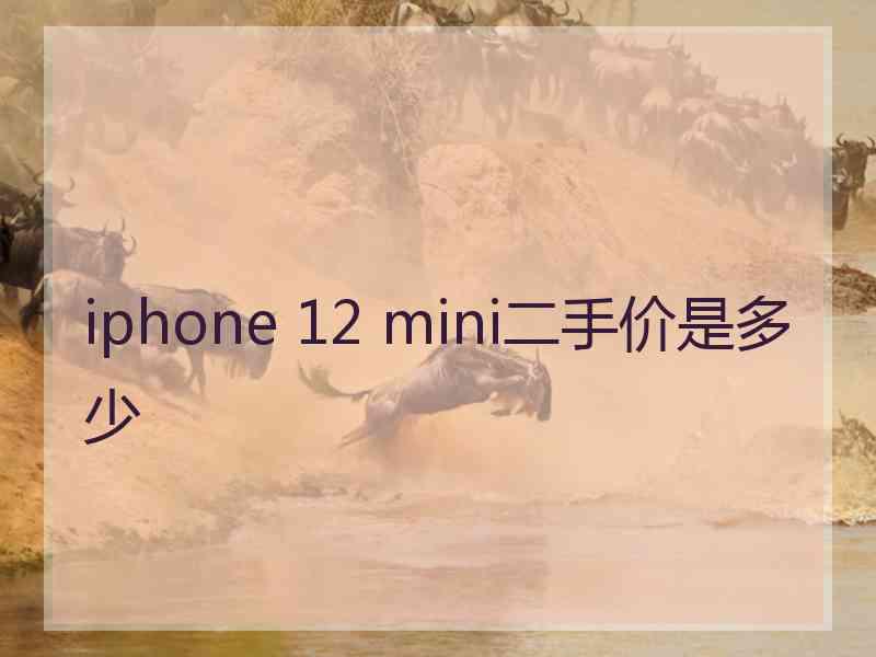 iphone 12 mini二手价是多少