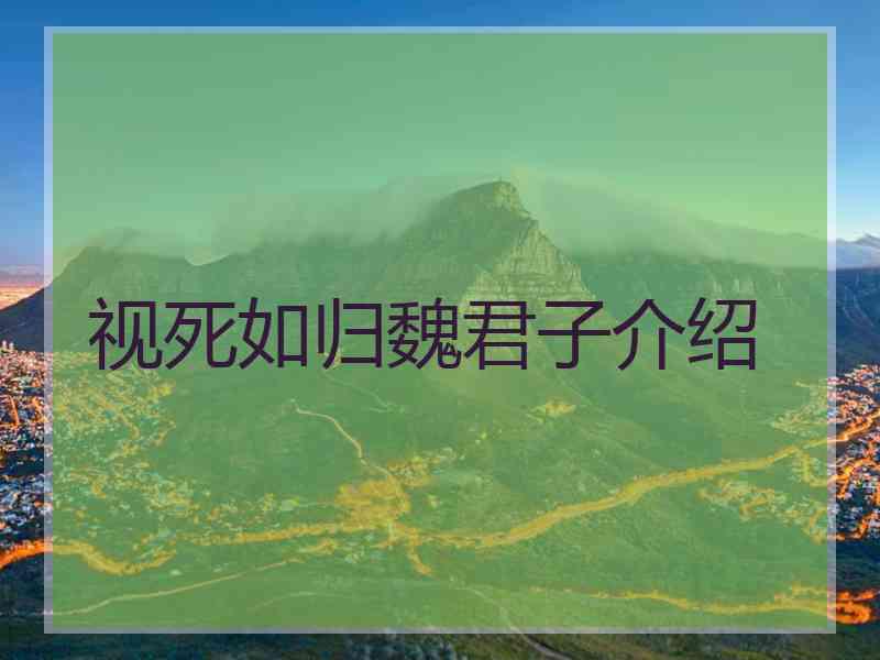 视死如归魏君子介绍
