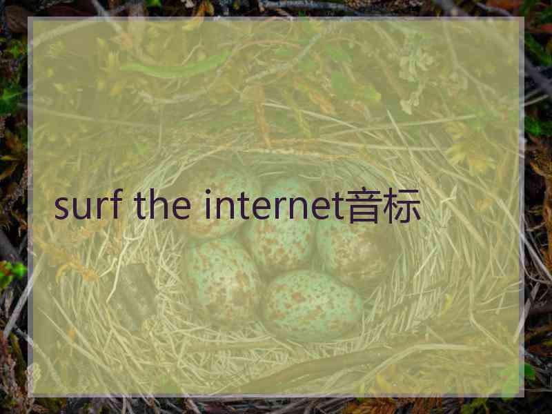 surf the internet音标