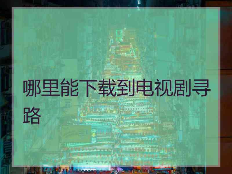 哪里能下载到电视剧寻路