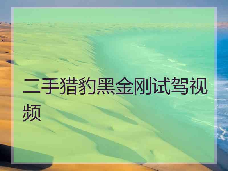 二手猎豹黑金刚试驾视频
