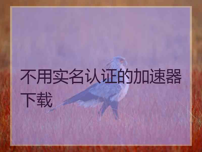 不用实名认证的加速器下载