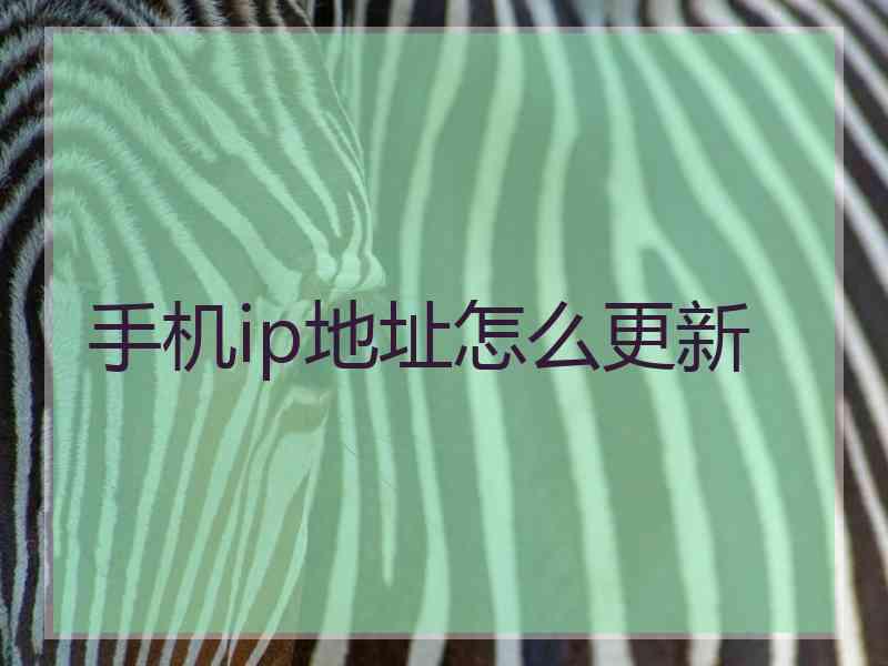 手机ip地址怎么更新