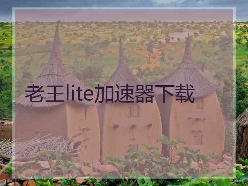 老王lite加速器下载