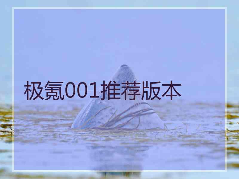 极氪001推荐版本