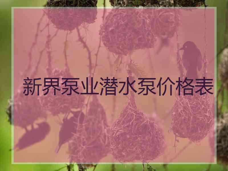 新界泵业潜水泵价格表