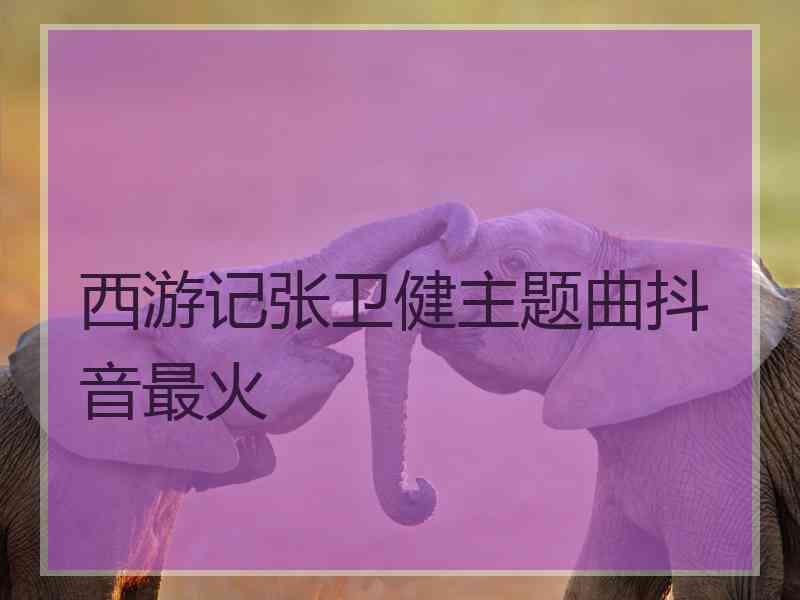 西游记张卫健主题曲抖音最火