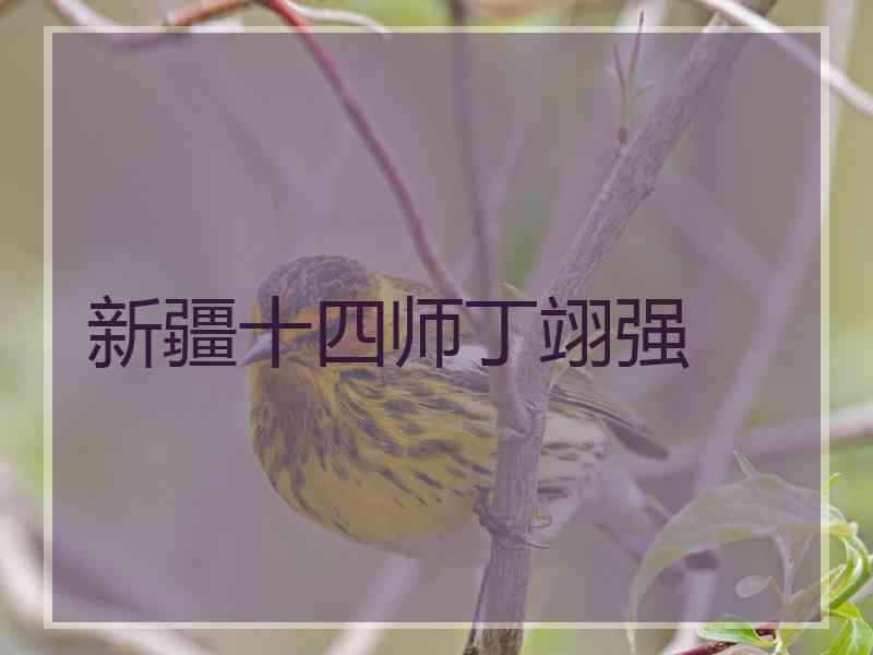 新疆十四师丁翊强